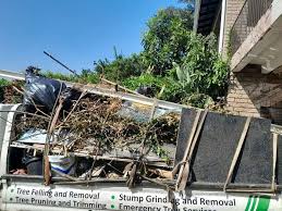 Best Foreclosure Cleanout  in Kenova, WV